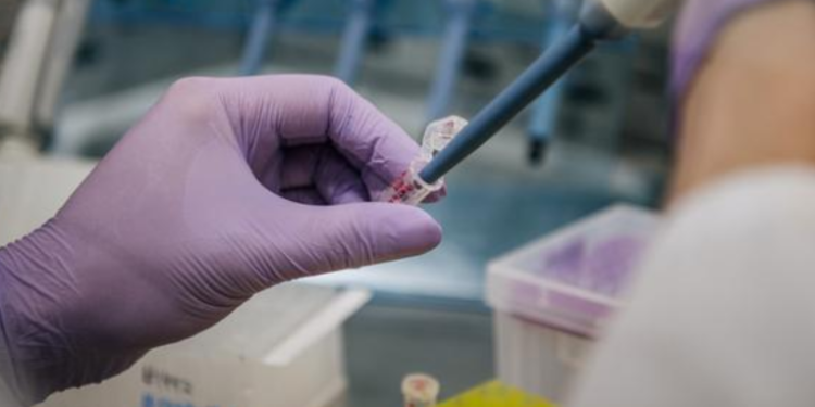 ¿Nos podemos fiar de los tests de antígenos con ómicron?