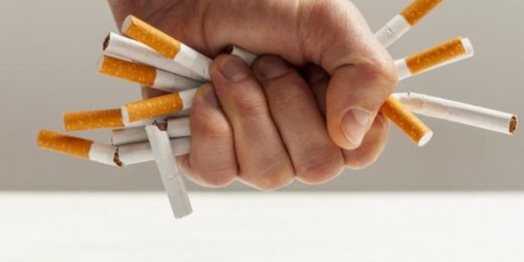 Nueva Zelanda presenta programa para que la gente