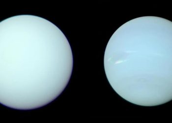 Nuevas imágenes revelan cómo son realmente Urano y Neptuno