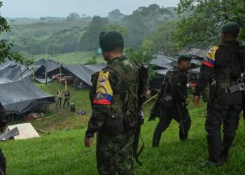 OEA alerta de inseguridad en el sur de Colombia