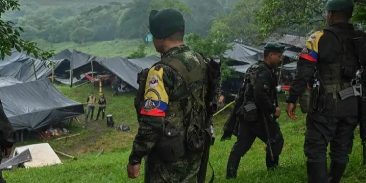 OEA alerta de inseguridad en el sur de Colombia