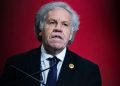 OEA: Almagro urge al diálogo a México y Ecuador