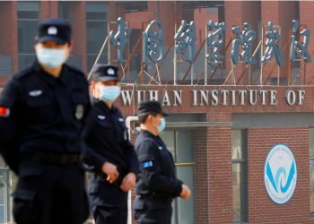 OMS afirma tener datos sobre el origen del Covid-19 en Wuhan