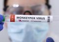 OMS cambia el nombre a la viruela del mono: ahora se llama mpox