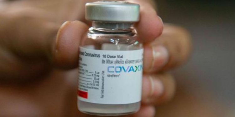 OMS da autorización de emergencia a vacuna india Covaxin