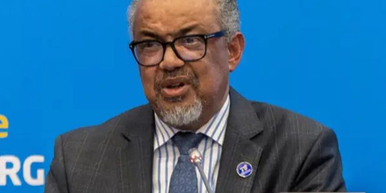 OMS investiga posible brote de virus de Marburgo en Tanzania