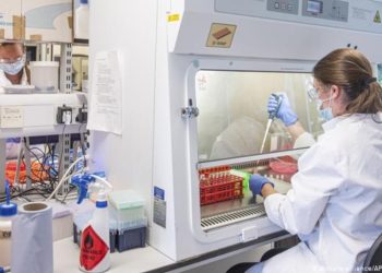 OMS nombra comité de expertos para investigar el origen del coronavirus y otras pandemias.