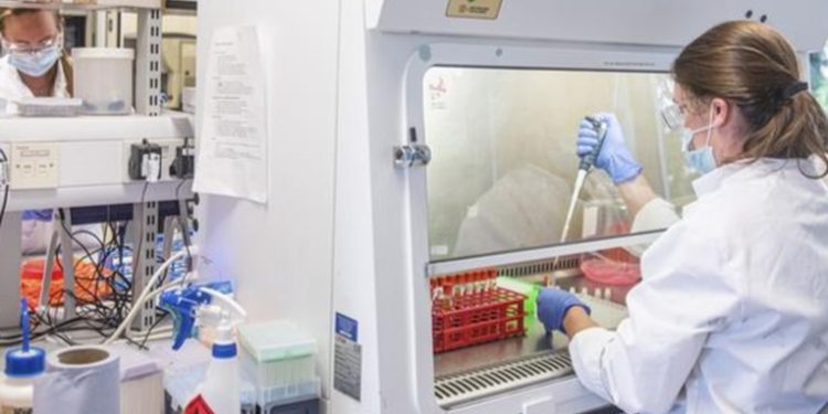 OMS nombra comité de expertos para investigar el origen del coronavirus y otras pandemias.