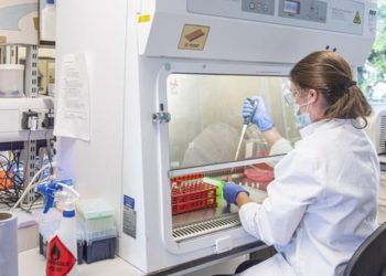 OMS nombra comité de expertos para investigar el origen del coronavirus y otras pandemias