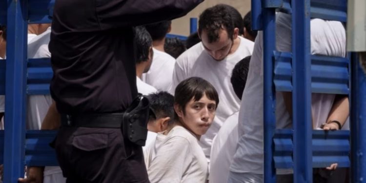 ONG documenta 153 muertos bajo custodia del Estado detenidos en régimen de excepción en El Salvador