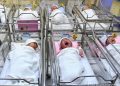 ONU celebra hoy que la población mundial alcanzó los 8.000 millones