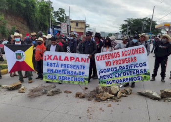 Organizaciones indí­genas y campesinas realizaron hoy marchas y protestas
