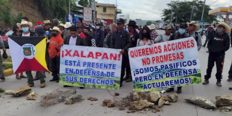 Organizaciones indí­genas y campesinas realizaron hoy marchas y protestas