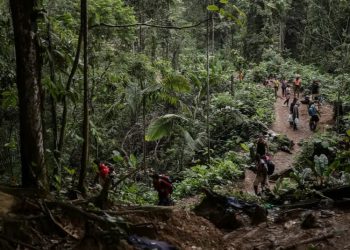 Panamá acusa a organismos de impulsar migración irregular