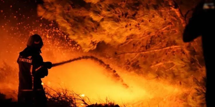 Paraguay: más de 30 casas destruidas por un incendio
