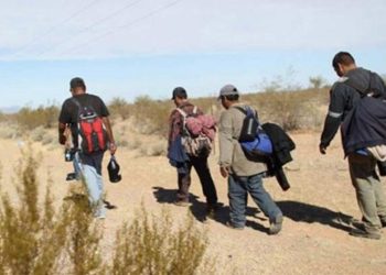 Patrulla fronteriza identifica a 204 guatemaltecos entre más de 2 mil 500 migrantes detenidos en Texas