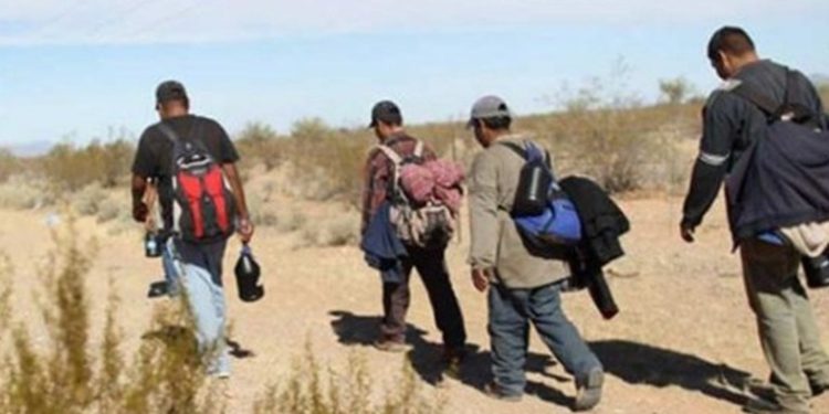 Patrulla fronteriza identifica a 204 guatemaltecos entre más de 2 mil 500 migrantes detenidos en Texas