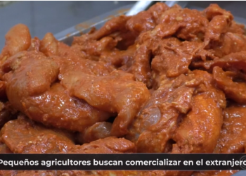 Pequeños agricultores buscan comercializar en el extranjero