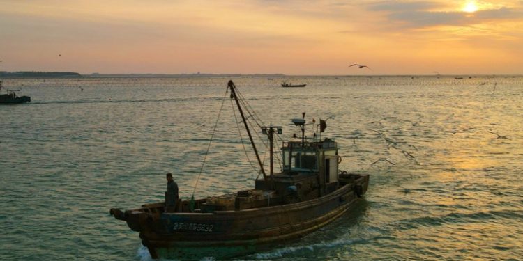 Perú controlará por satélite los barcos extranjeros tras denuncias de pesca ilegal