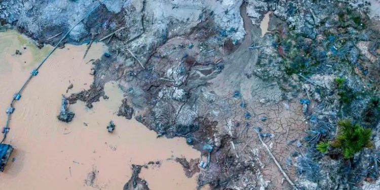 Perú incautó USD 587 millones a minería ilegal en 2024