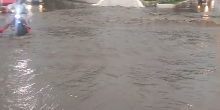 Petén y la Franja Transversal del Norte, han sido las regiones más afectadas a causa de las lluvias