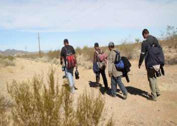 Piden aprobación nacional de ley contra coyotes