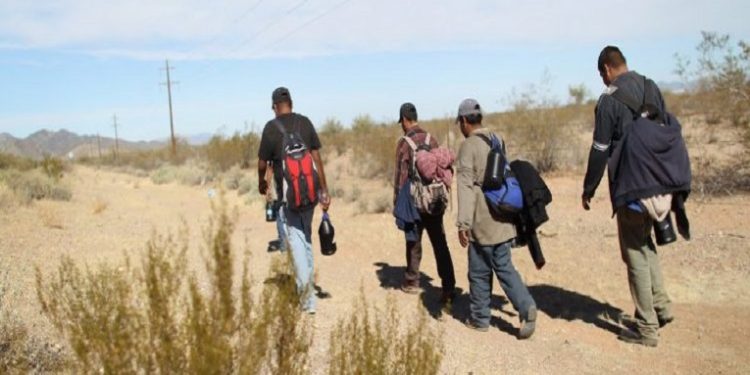 Piden aprobación nacional de ley contra coyotes