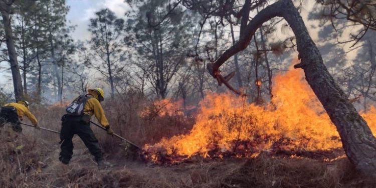 Piden declarar estado de calamidad por incendios en el país