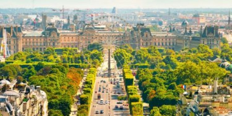 Plantar más árboles reducirí­a hasta en un tercio las muertes por el aumento de las temperaturas en ciudades