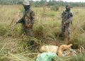 Poblaciones de Petén responden al narcotráfico
