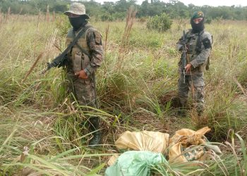 Poblaciones de Petén responden al narcotráfico