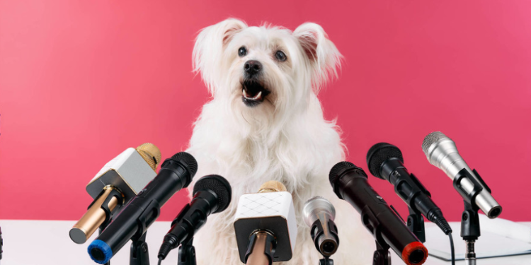 ¿Podría la IA ayudarnos a comunicarnos con los animales como en el Dr. Dolittle?