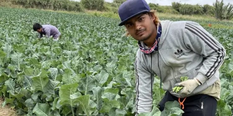 Portugal impone normas más estrictas para los inmigrantes