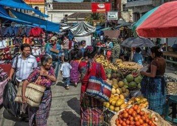 Precios de verduras para fiambre registran baja en mercados, según monitoreos del Mineco y Diaco