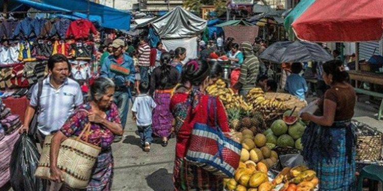 Precios de verduras para fiambre registran baja en mercados, según monitoreos del Mineco y Diaco