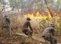 Preocupación en Insivumeh por vientos que podrían avivar llamas de incendios forestales