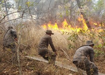 Preocupación en Insivumeh por vientos que podrían avivar llamas de incendios forestales