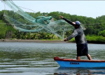 Presentan iniciativa de ley de subsidio para pescadores que se harí­a efectivo durante veda