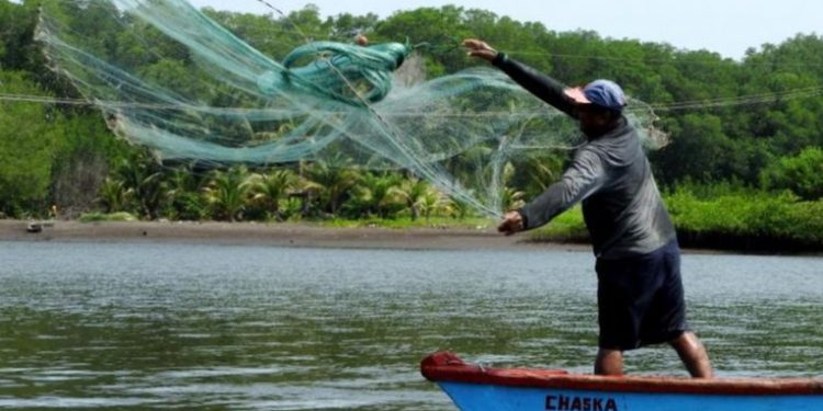 Presentan iniciativa de ley de subsidio para pescadores que se haría efectivo durante veda