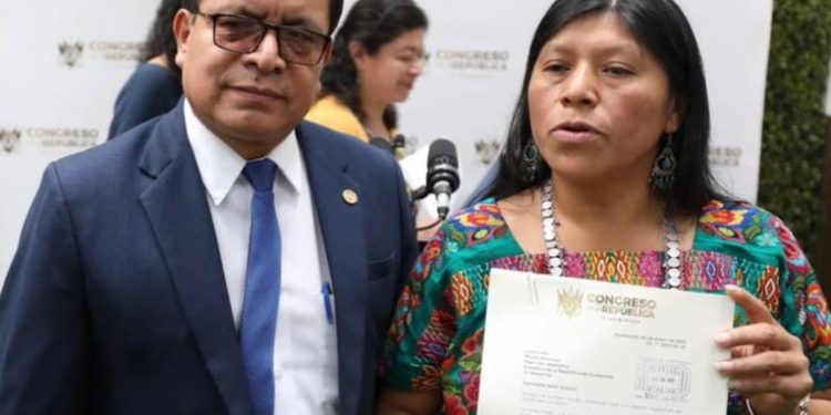 Presentan iniciativa de ley ''Tz'i'' para prevenir la crueldad animal