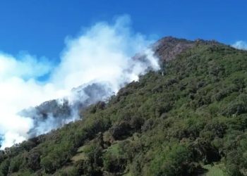 Presidenta interina solicita ayuda internacional para combatir incendio en volcán de Agua