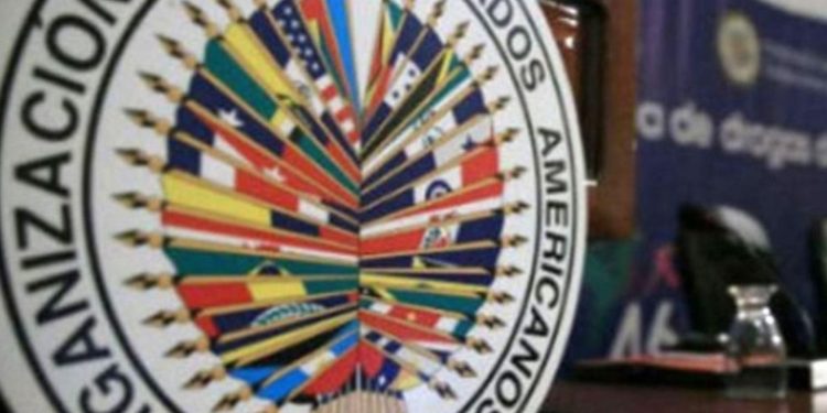 Presidente guatemalteco niega acusaciones de injerencia ante solicitud de observación de la OEA