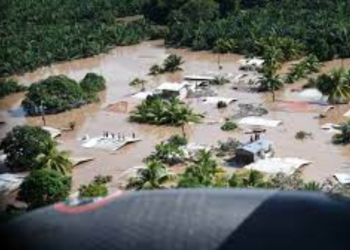 Proyectos establecidos debido a las tormentas Eta e Iota siguen en pie, según Ministro de Agricultura, Ganaderí­a y Alimentación.