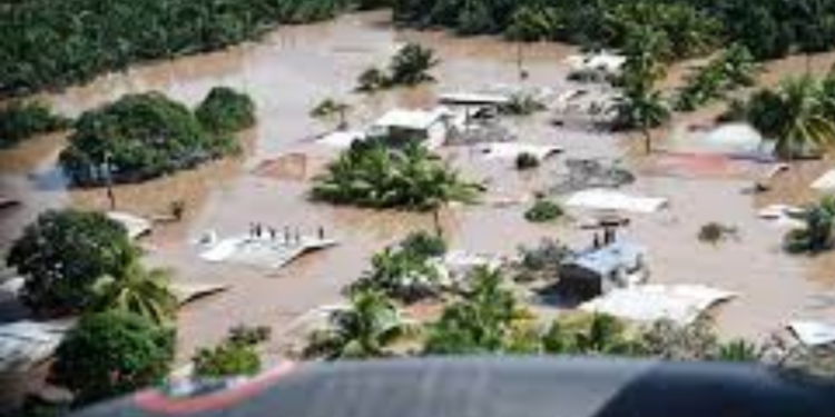 Proyectos establecidos debido a las tormentas Eta e Iota siguen en pie, según Ministro de Agricultura, Ganaderí­a y Alimentación.