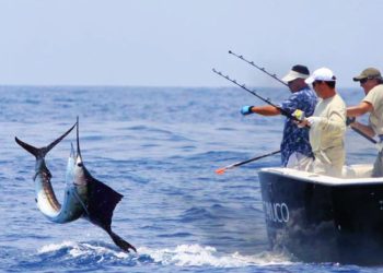 Publican veda de pesca, venta y consumo de mariscos afectados por marea roja