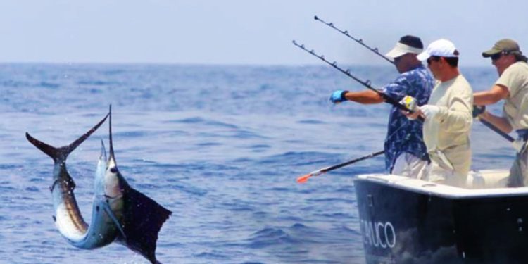 Publican veda de pesca, venta y consumo de mariscos afectados por marea roja