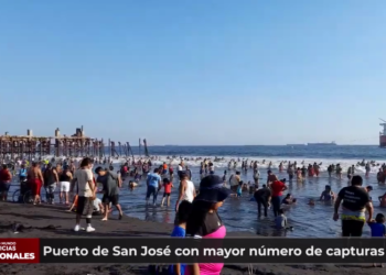 Puerto de San José con mayor número de capturas