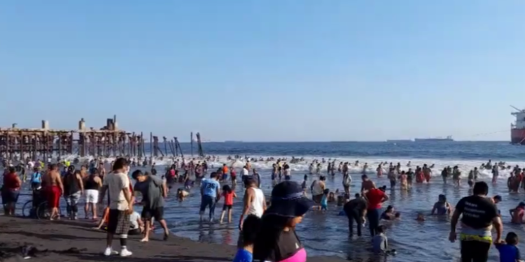 Puerto de San José con mayor número de capturas