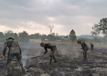 Quince incendios forestales que se mantienen activos se ubican en el departamento del Petén