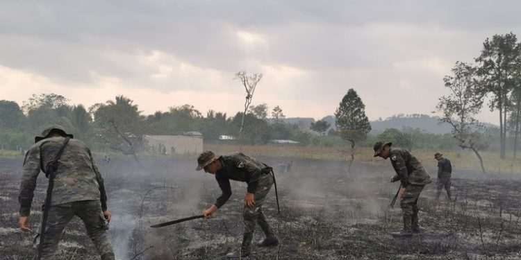 Quince incendios forestales que se mantienen activos se ubican en el departamento del Petén